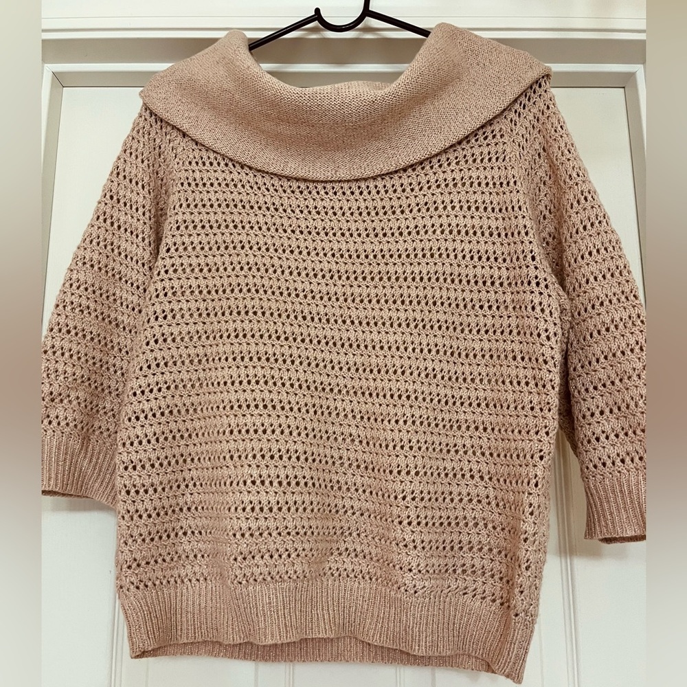 New York & Company Beige Sweater